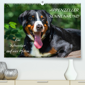 Appenzeller Sennenhund – Ein Schweizer auf 4 Pfoten (Premium, hochwertiger DIN A2 Wandkalender 2022, Kunstdruck in Hochglanz) von Starick,  Sigrid