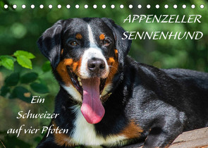 Appenzeller Sennenhund – Ein Schweizer auf 4 Pfoten (Tischkalender 2022 DIN A5 quer) von Starick,  Sigrid