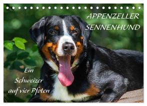 Appenzeller Sennenhund – Ein Schweizer auf 4 Pfoten (Tischkalender 2024 DIN A5 quer), CALVENDO Monatskalender von Starick,  Sigrid