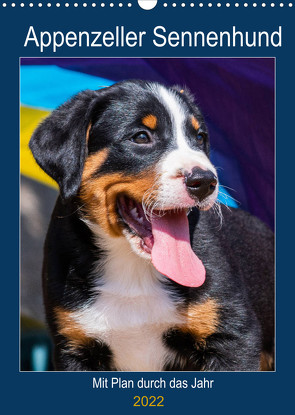 Appenzeller Sennenhund – Mit Plan durch das Jahr (Wandkalender 2022 DIN A3 hoch) von Starick,  Sigrid