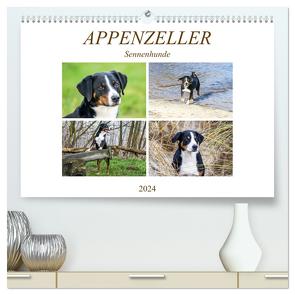 Appenzeller Sennenhunde (hochwertiger Premium Wandkalender 2024 DIN A2 quer), Kunstdruck in Hochglanz von SchnelleWelten,  SchnelleWelten