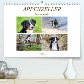 Appenzeller Sennenhunde (Premium, hochwertiger DIN A2 Wandkalender 2023, Kunstdruck in Hochglanz) von SchnelleWelten