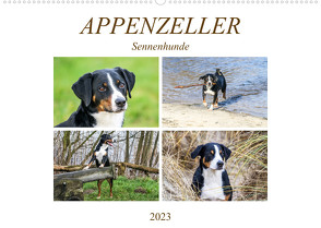 Appenzeller Sennenhunde (Wandkalender 2023 DIN A2 quer) von SchnelleWelten