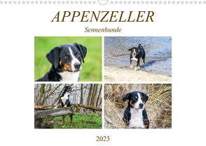 Appenzeller Sennenhunde (Wandkalender 2023 DIN A3 quer) von SchnelleWelten