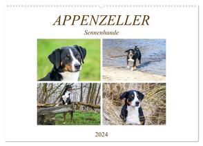 Appenzeller Sennenhunde (Wandkalender 2024 DIN A2 quer), CALVENDO Monatskalender von SchnelleWelten,  SchnelleWelten