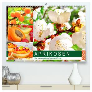 Aprikosen. Die sonnengelben Sommerfrüchte (hochwertiger Premium Wandkalender 2024 DIN A2 quer), Kunstdruck in Hochglanz von Hurley,  Rose