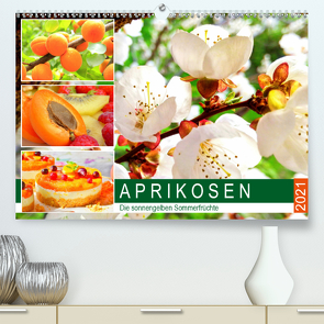 Aprikosen. Die sonnengelben Sommerfrüchte (Premium, hochwertiger DIN A2 Wandkalender 2021, Kunstdruck in Hochglanz) von Hurley,  Rose