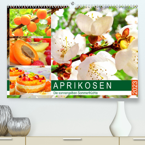 Aprikosen. Die sonnengelben Sommerfrüchte (Premium, hochwertiger DIN A2 Wandkalender 2023, Kunstdruck in Hochglanz) von Hurley,  Rose