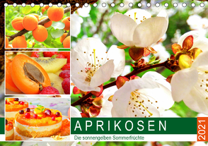 Aprikosen. Die sonnengelben Sommerfrüchte (Tischkalender 2021 DIN A5 quer) von Hurley,  Rose