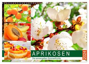 Aprikosen. Die sonnengelben Sommerfrüchte (Wandkalender 2024 DIN A3 quer), CALVENDO Monatskalender von Hurley,  Rose