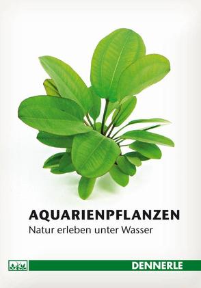 Aquarienpflanzen von Gaida,  Ulrich, Homrighausen,  Christian, Hummel,  Stefan, Kasselmann,  Christel, Logemann,  Frank, Lukhaup,  Chris