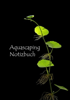 Aquascaping Notizbuch von Rohringer,  Katharina