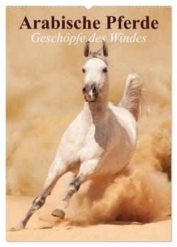 Arabische Pferde • Geschöpfe des Windes (Wandkalender 2024 DIN A2 hoch), CALVENDO Monatskalender von Stanzer,  Elisabeth