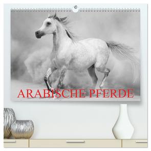 Arabische Pferde (hochwertiger Premium Wandkalender 2024 DIN A2 quer), Kunstdruck in Hochglanz von Stanzer,  Elisabeth