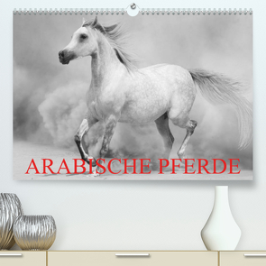 Arabische Pferde (Premium, hochwertiger DIN A2 Wandkalender 2023, Kunstdruck in Hochglanz) von Stanzer,  Elisabeth