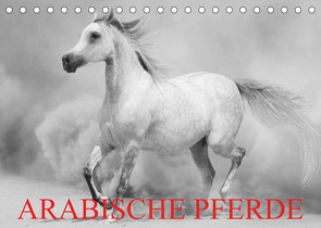 Arabische Pferde (Tischkalender 2023 DIN A5 quer) von Stanzer,  Elisabeth