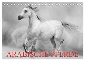Arabische Pferde (Tischkalender 2024 DIN A5 quer), CALVENDO Monatskalender von Stanzer,  Elisabeth