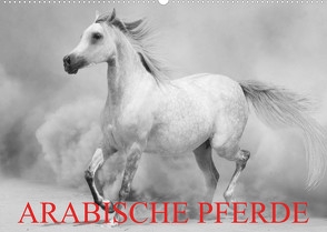 Arabische Pferde (Wandkalender 2023 DIN A2 quer) von Stanzer,  Elisabeth
