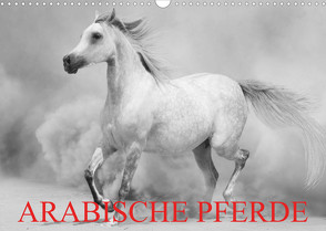 Arabische Pferde (Wandkalender 2023 DIN A3 quer) von Stanzer,  Elisabeth