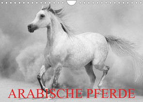 Arabische Pferde (Wandkalender 2023 DIN A4 quer) von Stanzer,  Elisabeth