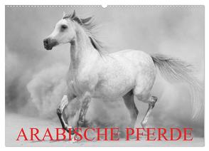 Arabische Pferde (Wandkalender 2024 DIN A2 quer), CALVENDO Monatskalender von Stanzer,  Elisabeth