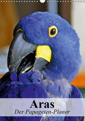 Aras. Der Papageien-Planer (Wandkalender 2019 DIN A3 hoch) von Stanzer,  Elisabeth