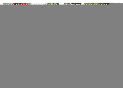 Aras – die fliegenden Edelsteine Mittel- und Südamerikas (Wandkalender 2024 DIN A3 quer), CALVENDO Monatskalender von Kleemann,  Claudia