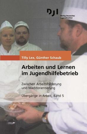 Arbeiten und Lernen im Jugendhilfebetrieb von Lex,  Tilly, Schaub,  Günther