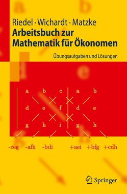 Arbeitsbuch zur Mathematik für Ökonomen von Matzke,  Christina, Riedel,  Frank, Wichardt,  Philipp C.