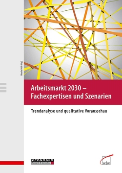 Arbeitsmarkt 2030 – Fachexpertisen und Szenarien von Düll,  Nicola