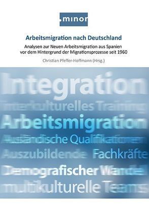 Arbeitsmigration nach Deutschland von Pfeffer-Hoffmann,  Christian