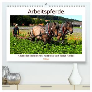 Arbeitspferde – Alltag des belgischen Kaltbluts (hochwertiger Premium Wandkalender 2024 DIN A2 quer), Kunstdruck in Hochglanz von Riedel,  Tanja