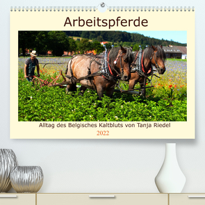 Arbeitspferde – Alltag des belgischen Kaltbluts (Premium, hochwertiger DIN A2 Wandkalender 2022, Kunstdruck in Hochglanz) von Riedel,  Tanja