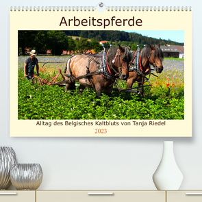 Arbeitspferde – Alltag des belgischen Kaltbluts (Premium, hochwertiger DIN A2 Wandkalender 2023, Kunstdruck in Hochglanz) von Riedel,  Tanja
