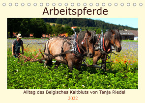 Arbeitspferde – Alltag des belgischen Kaltbluts (Tischkalender 2022 DIN A5 quer) von Riedel,  Tanja