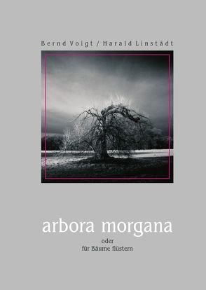 arbora morgana von Voigt,  Bernd