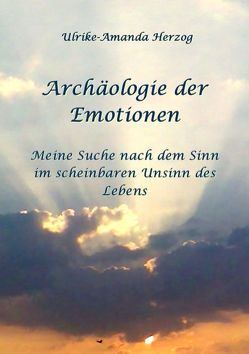 Archäologie der Emotionen von Herzog,  Ulrike A