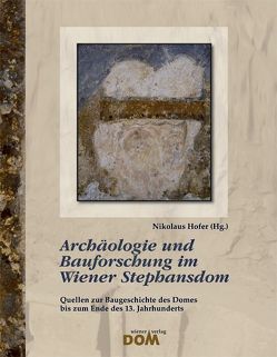 Archäologie und Bauforschung im Wiener Stephansdom von Hofer,  Nikolaus