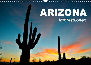 Arizona • Impressionen (Wandkalender 2023 DIN A3 quer) von Stanzer,  Elisabeth