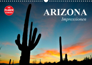 Arizona. Impressionen (Wandkalender 2023 DIN A3 quer) von Stanzer,  Elisabeth