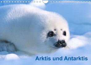 Arktis und Antarktis (Wandkalender 2022 DIN A4 quer) von / Michael DeFreitas,  McPHOTO