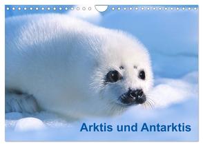 Arktis und Antarktis (Wandkalender 2024 DIN A4 quer), CALVENDO Monatskalender von / Michael DeFreitas,  McPHOTO