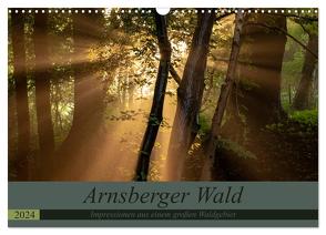 Arnsberger Wald (Wandkalender 2024 DIN A3 quer), CALVENDO Monatskalender von Franz Josef Hering,  Dr.