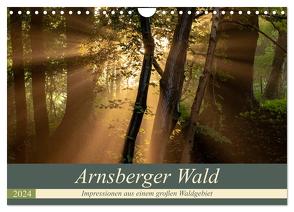 Arnsberger Wald (Wandkalender 2024 DIN A4 quer), CALVENDO Monatskalender von Franz Josef Hering,  Dr.