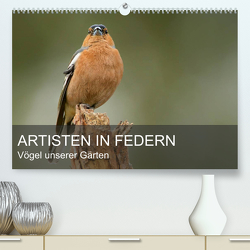 Artisten in Federn – Vögel unserer Gärten (hochwertiger Premium Wandkalender 2024 DIN A2 quer), Kunstdruck in Hochglanz von Krebs,  Alexander