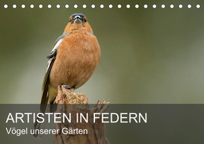 Artisten in Federn – Vögel unserer Gärten (Tischkalender 2024 DIN A5 quer), CALVENDO Monatskalender von Krebs,  Alexander