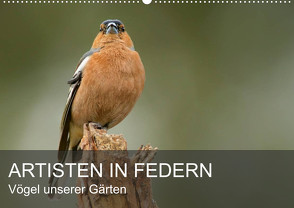 Artisten in Federn – Vögel unserer Gärten (Wandkalender 2024 DIN A2 quer), CALVENDO Monatskalender von Krebs,  Alexander