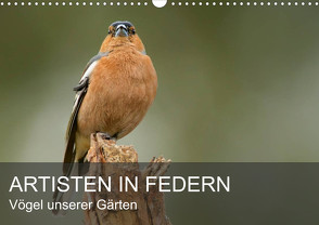 Artisten in Federn – Vögel unserer Gärten (Wandkalender 2024 DIN A3 quer), CALVENDO Monatskalender von Krebs,  Alexander