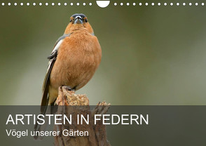 Artisten in Federn – Vögel unserer Gärten (Wandkalender 2024 DIN A4 quer), CALVENDO Monatskalender von Krebs,  Alexander