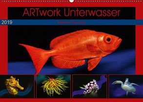 Artwork Unterwasser – Erlebnis Tauchen (Wandkalender 2019 DIN A2 quer) von Gödecke,  Dieter